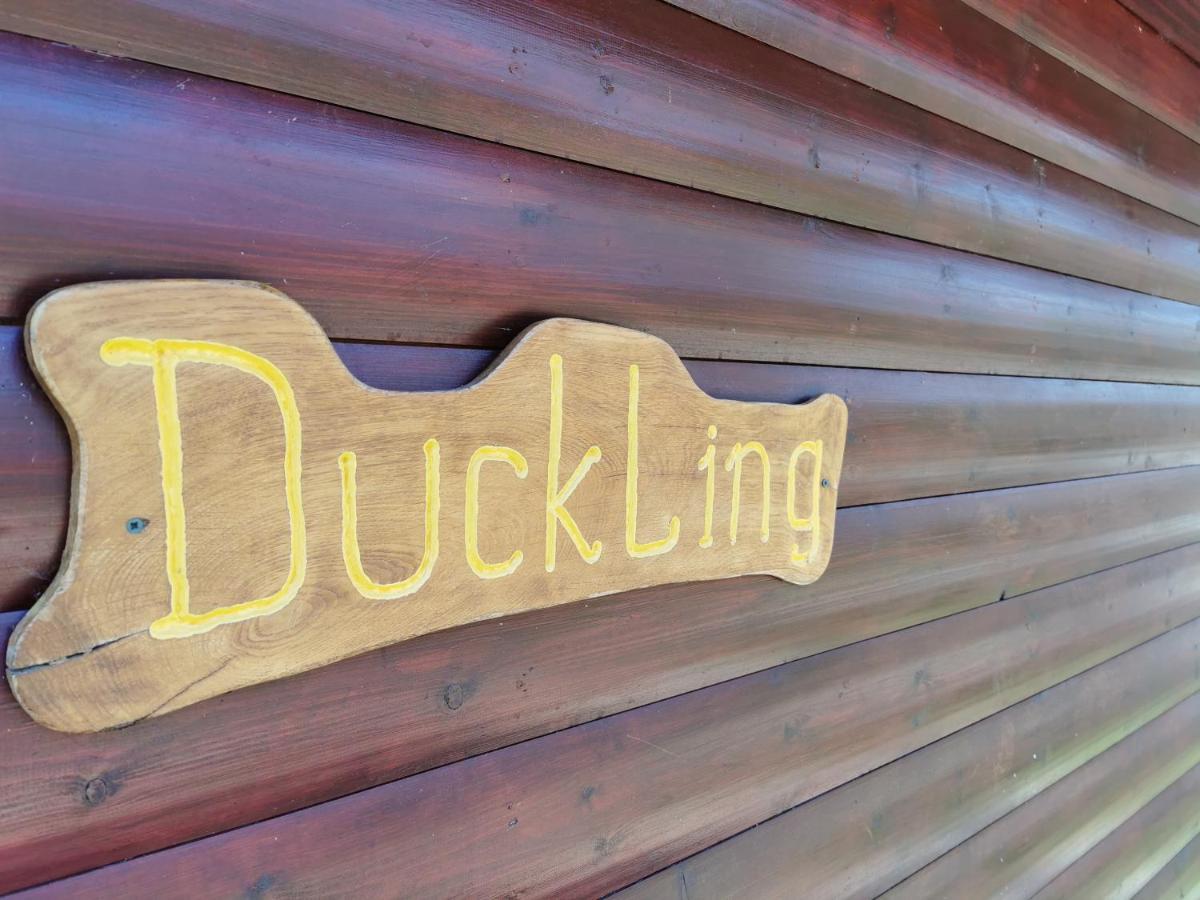Wall Eden Farm - Luxury Log Cabins And Glamping Highbridge Exterior foto